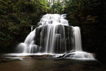 Fototapeta na wymiar a big waterfall in forest in spring