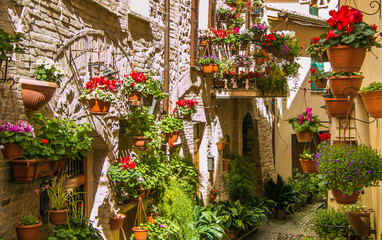 Beautiful view of charming floral streets in Spello, Umbria - Italy.