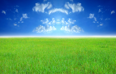 Fototapeta na wymiar Wide image of green grass field and bright blue sky