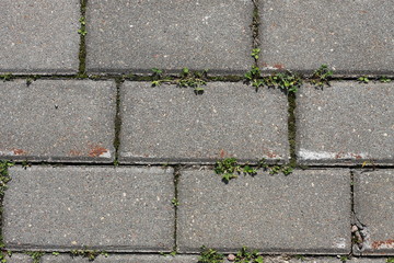 Фон тротуарной серой плитки