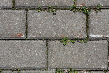 Фон тротуарной серой плитки