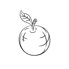Hand drawn apple sketches 