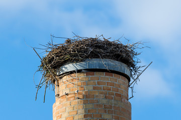 Wei&szlig;storch (Ciconia ciconia) Nest auf einem ehemaligen Schornstein