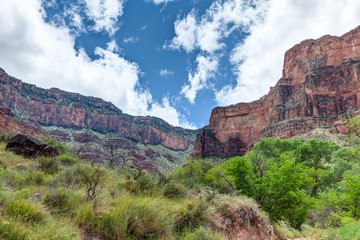 AZ-Grand Canyon National  Park-S Rim-Indian Gardens area.