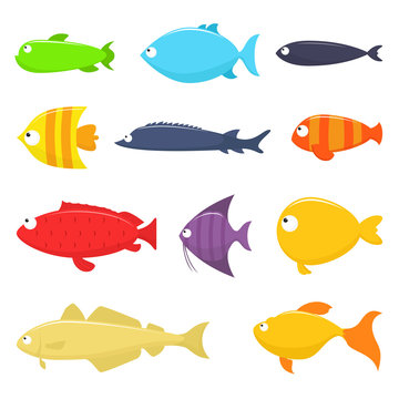 Set of fish vector illustration, isolated on white background.