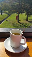 Good morning tea