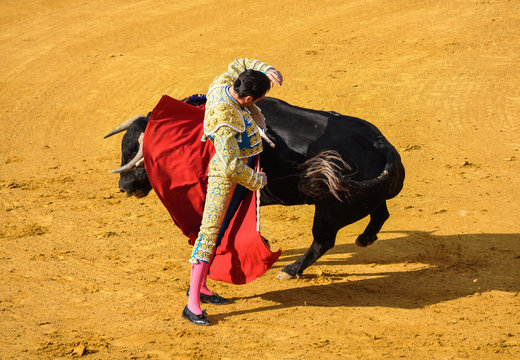 Torero y toro, tauromaquia, España