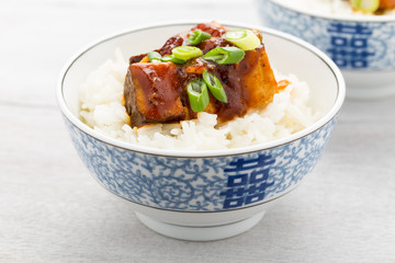 Barbecue-Tofu mit Reis - barbecue tofu with rice
