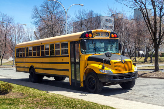 school bus parked on the street