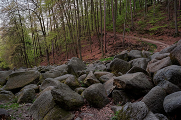 Rocks at the Felsenmeer in Germany.