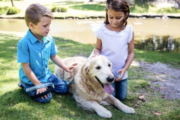 Siblings patting their pet dog in the park