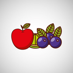 fresh fruit design 