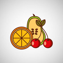 fresh fruit design 