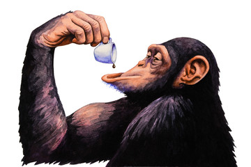 Małpa wypić filiżankę kawy. Akwarela ilustracja. - 108593796