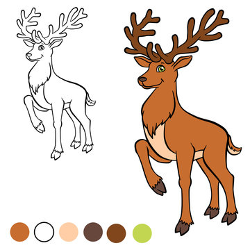 Coloring page. Color me: deer.  Little cute deer stands and smiles.