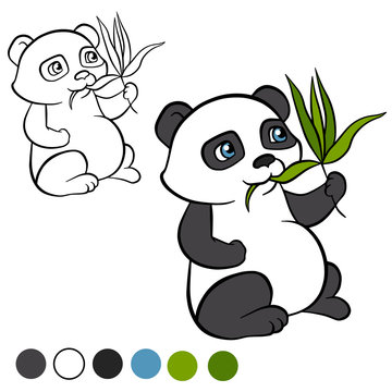 Coloring page. Color me: panda.  Little cute panda sits and eats leaves. It`s happy. .