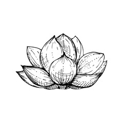 hand drawn ink floral ornament with flowers lotus. vector eps 10 - obrazy, fototapety, plakaty