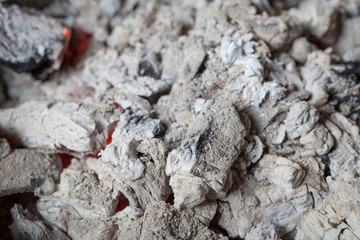 Firewood after burning become ash