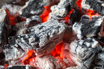 Firewood after burning become ash
