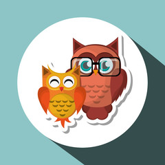 Group of owls, vector illustration, graphic design, animal represent knowledge