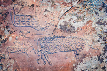 prehistoric drawing on old spotted stone
