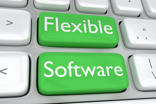 Flexible Software concept