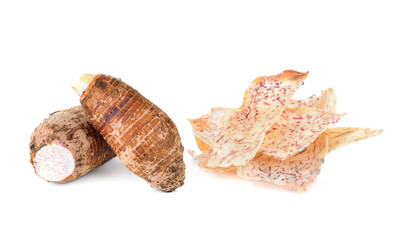 Taro on white background