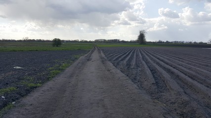 Droga polna © michalsen