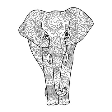 Elephant coloring book for adults vector