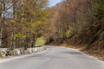 Obraz premium Mountain road. Rucar - Bran highway, Romania