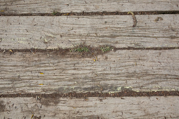 Old brown and white wood texture, wooden background.