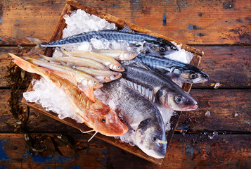 Variety of fresh marine fish on ice in a crate