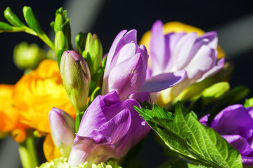 Beautiful bouquet of spring flowers purple campanula, close up