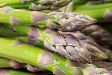 Bunch of fresh green purple asparagus tips macro closeup