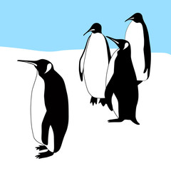 Obraz premium Vector silhouettes of penguins.