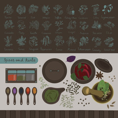 spices and herbs of the world