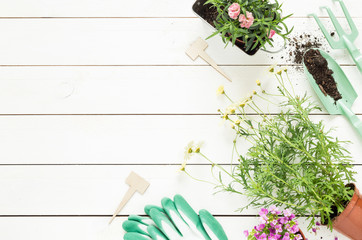 Spring - gardening tools and flowers in pots on white wood