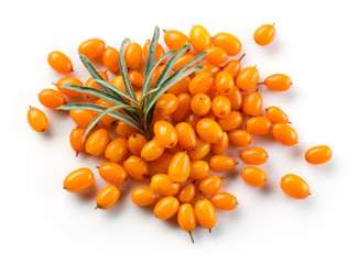 Sea buckthorn isolated on the white.