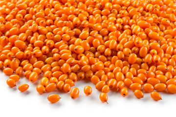 Sea buckthorn.