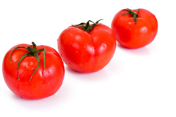 Red Tomatoes Isolated on a White Background