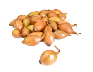 Fresh Onion on White Background