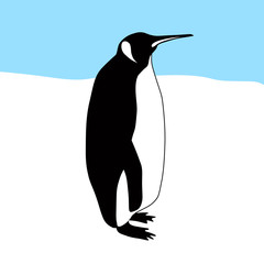 Vector silhouette of a penguin.