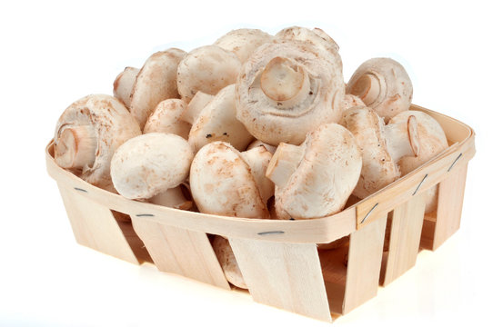Barquette de champignons de Paris