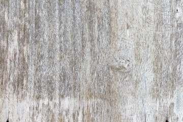 Obraz premium white concrete wall texture