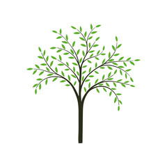 Stylized tree in vector.