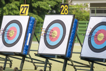 Archery arrow and target