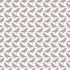 Birds seamless pattern. Vector design.