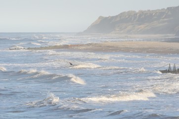 Lone Surfer on rough sea