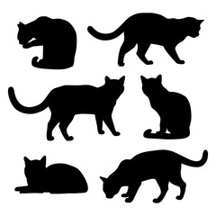 Set of cats silhouettes on a white background. Vector.