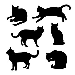 Set of cats silhouettes on a white background. Vector.